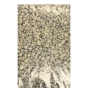 Kaffee Äthipien ungrödtet/grün 1kg Sidamo